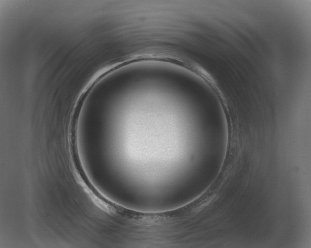 X0000081420803200701121234