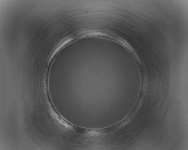 X0000081420806200701121234