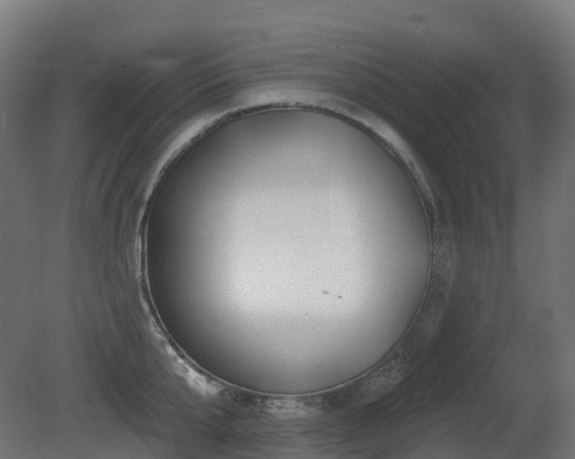 X0000081420807200701121234