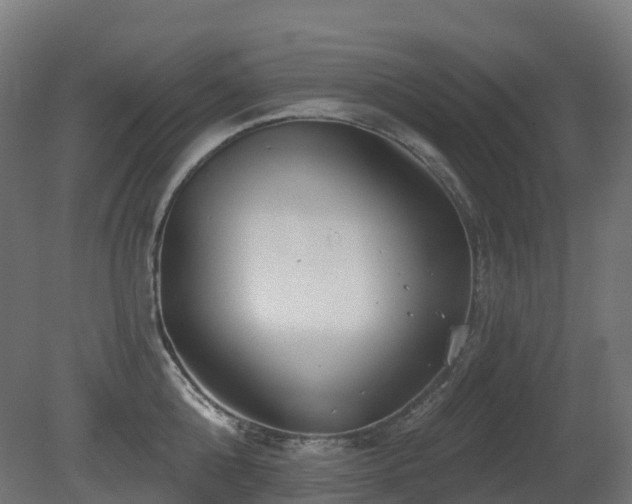 X0000081420808200701121234