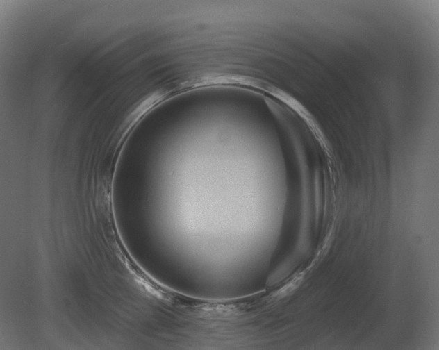 X0000081420809200701121234