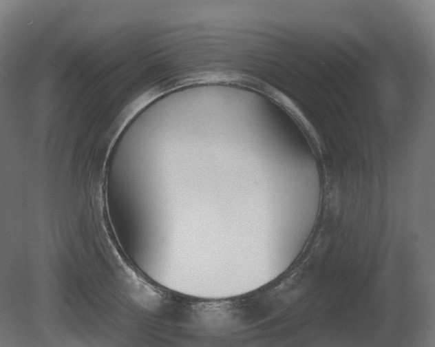 X0000081420810200701121234