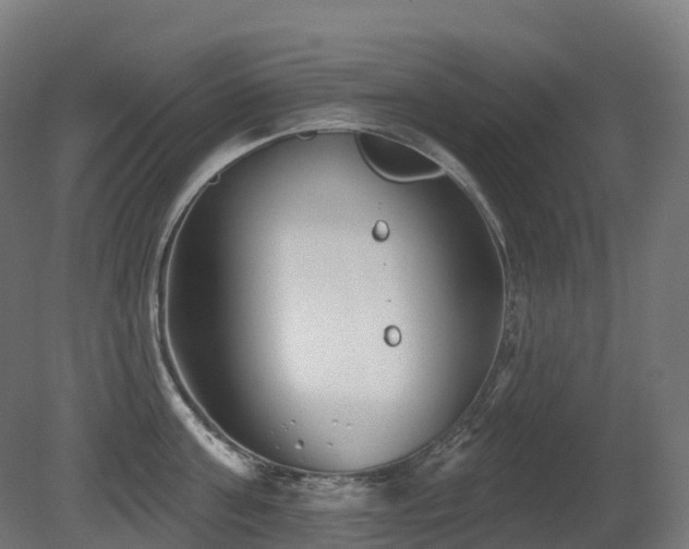 X0000081420811200701121234
