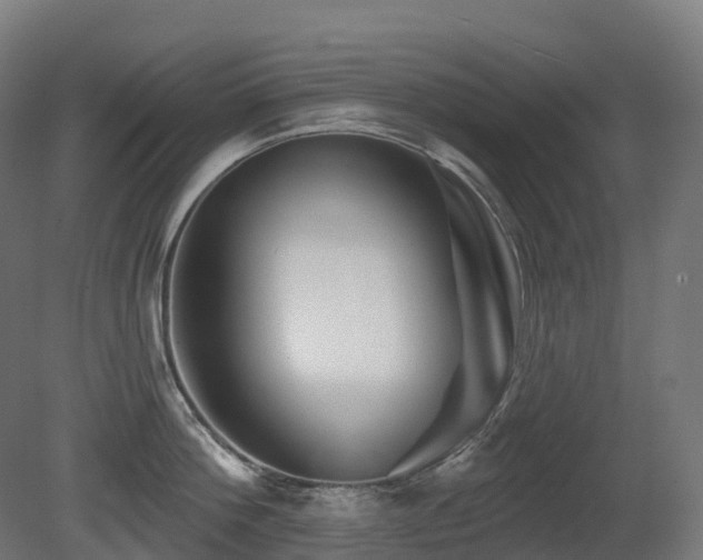 X0000081420812200701121234