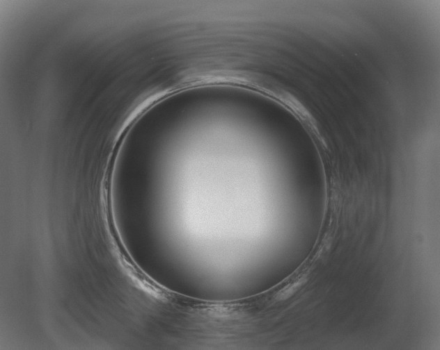 X0000081420814200701121234