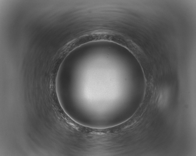 X0000081420821200701121233