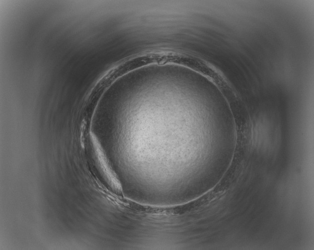 X0000081420823200701121233