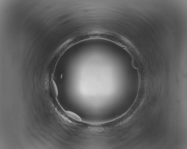 X0000081420825200701121233