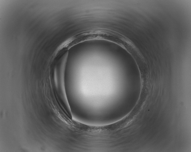 X0000081420826200701121233