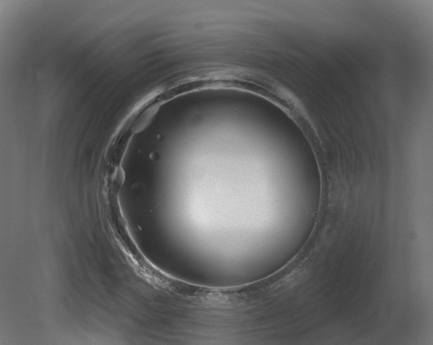 X0000081420827200701121233