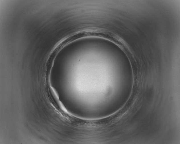 X0000081420829200701121233