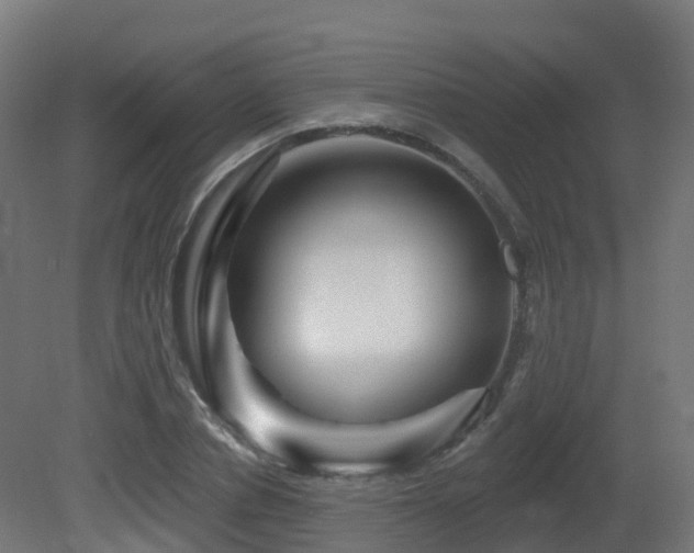 X0000081420834200701121233