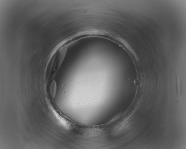 X0000081420837200701121233