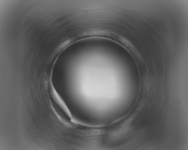 X0000081420841200701121233