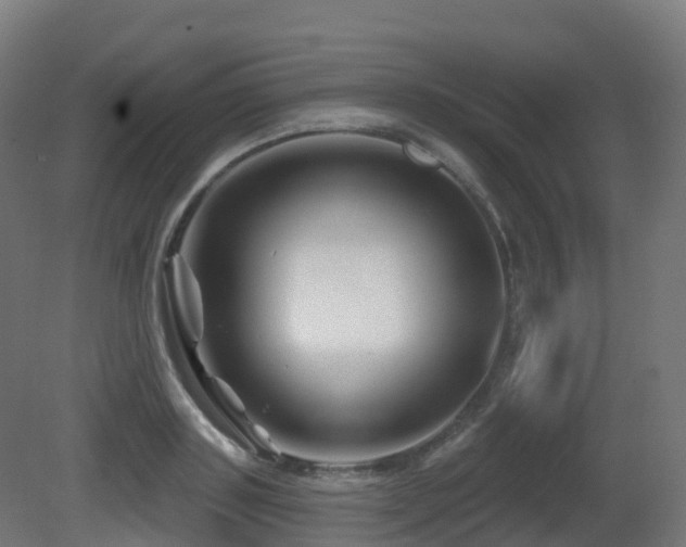 X0000081420843200701121233