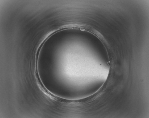 X0000081420844200701121233