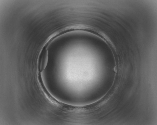 X0000081420845200701121233