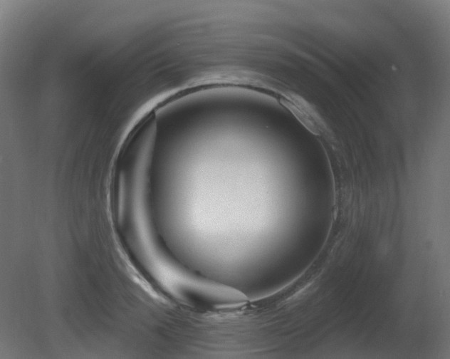X0000081420846200701121233