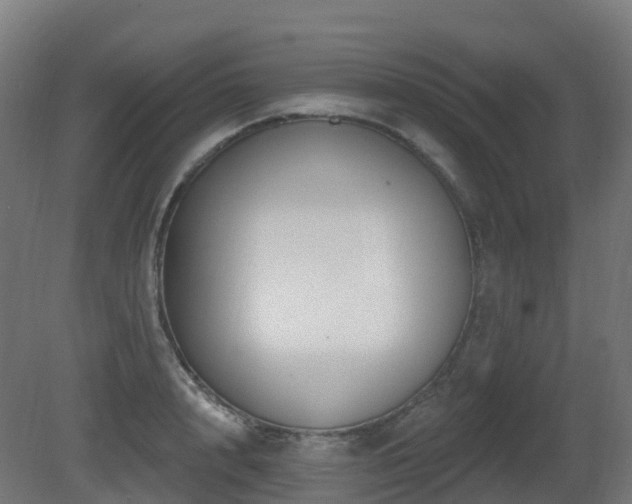 X0000081420848200701121233