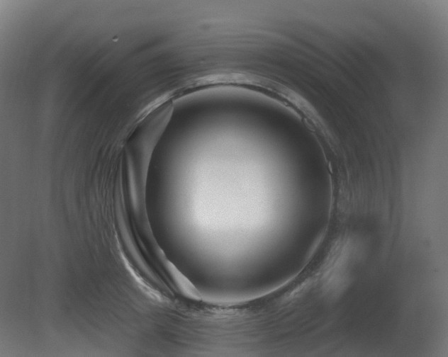 X0000081420849200701121233