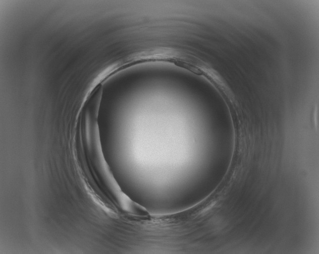 X0000081420850200701121233