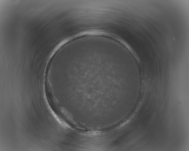 X0000081420853200701121233
