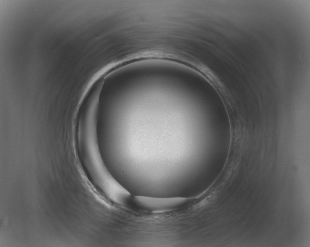 X0000081420854200701121233