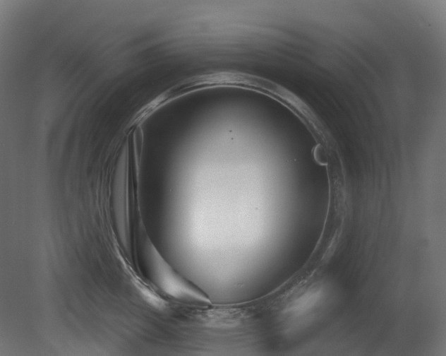 X0000081420857200701121233