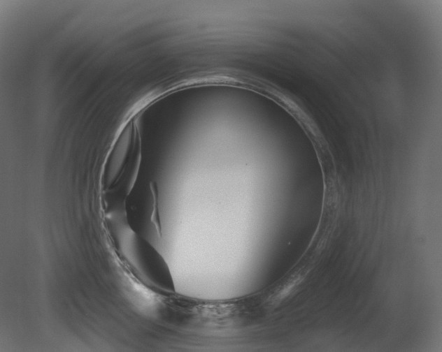 X0000081420858200701121234