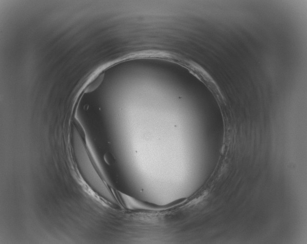 X0000081420860200701121234
