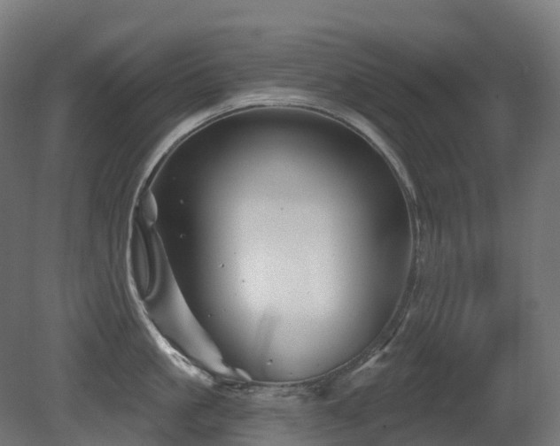 X0000081420861200701121234