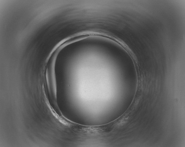 X0000081420862200701121234