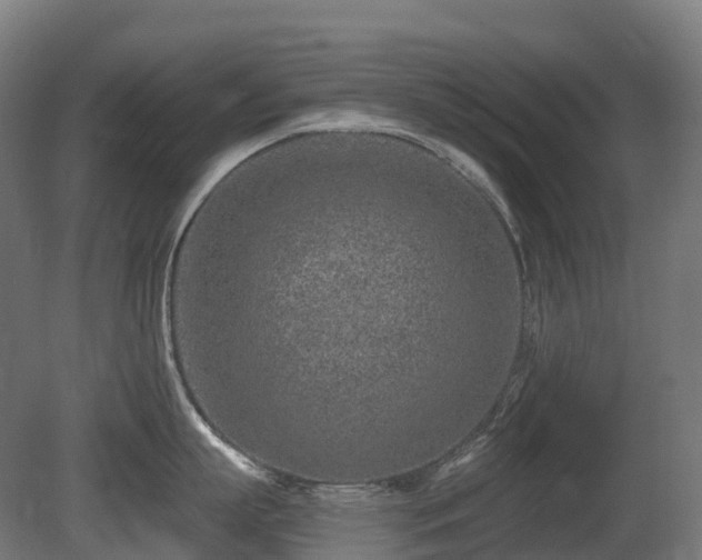 X0000081420863200701121234