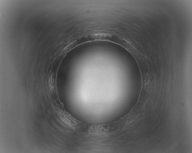 X0000081420866200701121233
