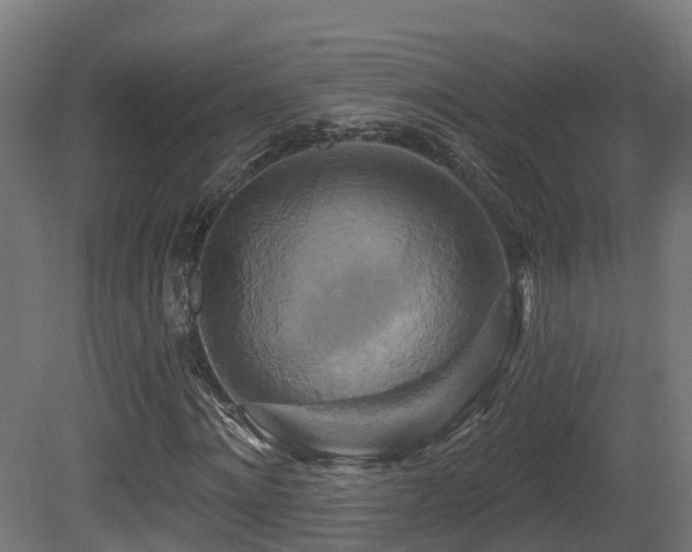X0000081420868200701121233