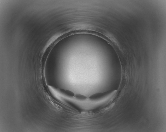 X0000081420877200701121233