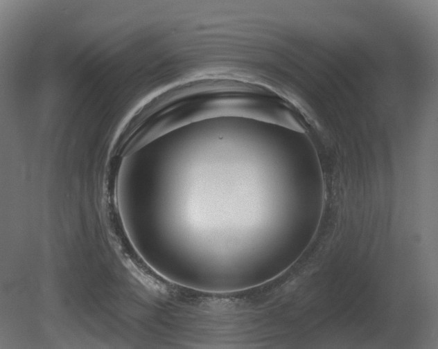 X0000081420880200701121232