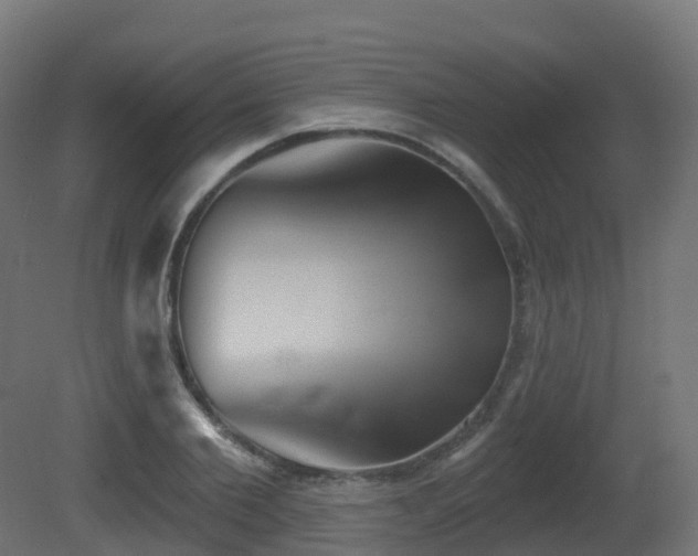 X0000081420885200701121232