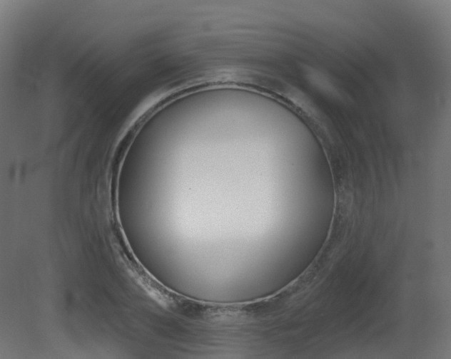 X0000081420886200701121232