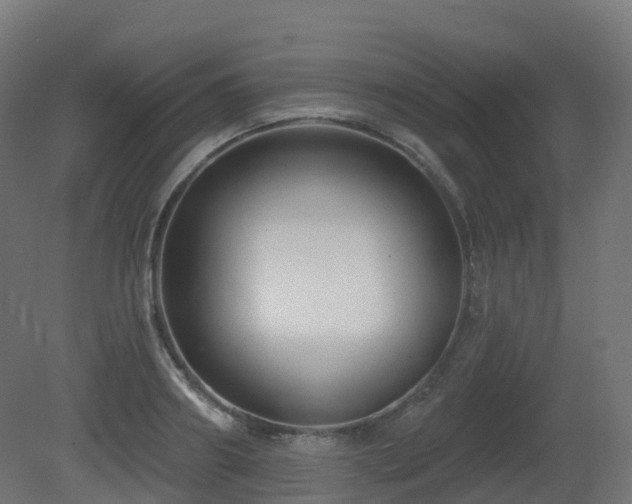 X0000081420890200701121232