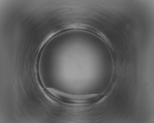 X0000081420893200701121232