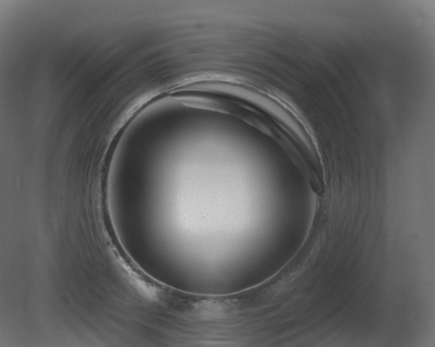 X0000081420898200701121232