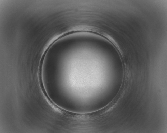 X0000081420901200701121232