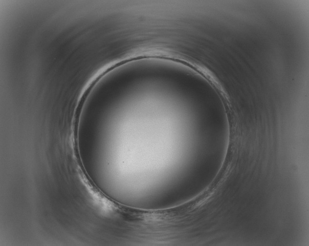 X0000081420904200701121232