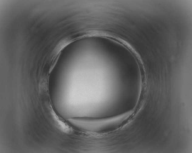 X0000081420905200701121232