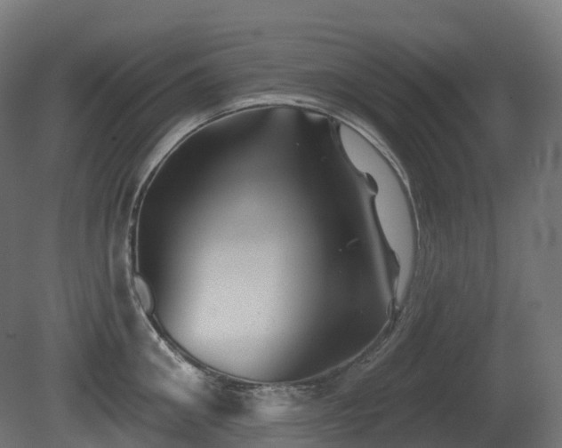X0000081420906200701121232