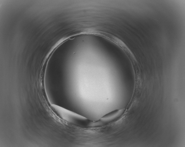 X0000081420908200701121232