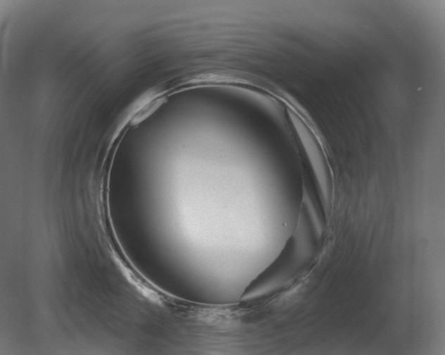 X0000081420909200701121232