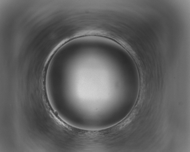 X0000081420912200701121232