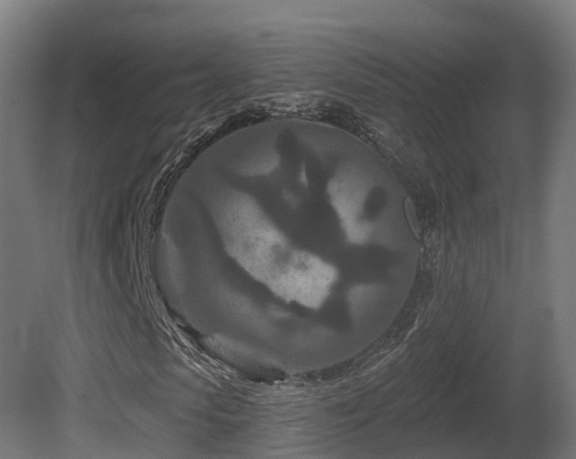 X0000081420913200701121231